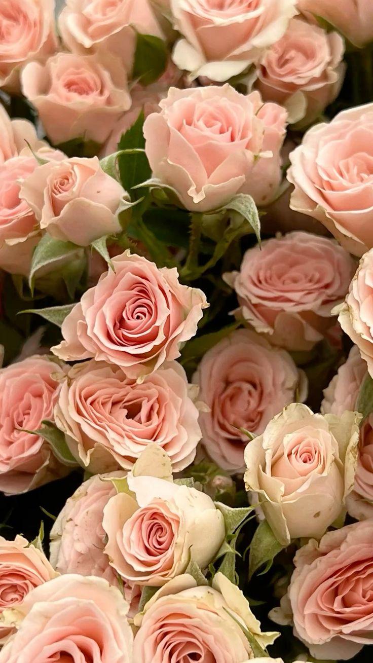 YonderFolioMeander workshop space where corporate flower arrangements are designed and prepared for business delivery